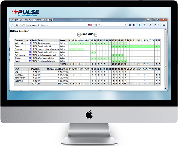 Pulse Management System  Streamline Your Business Operations